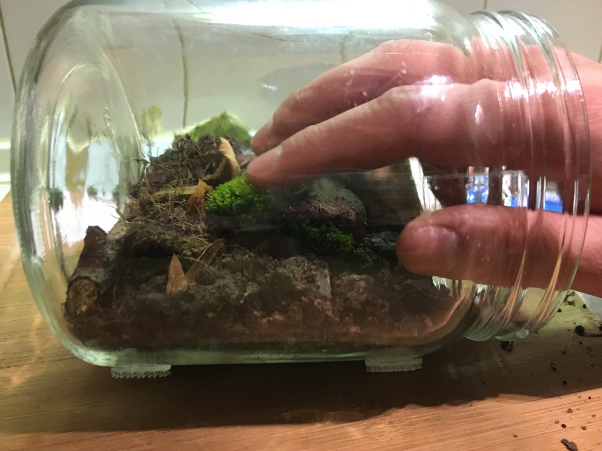 DIY Geschenkidee Ewiges Terrarium TrendRaider Nachhaltige
