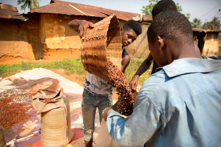 Fair bezahlte Kakaobauern