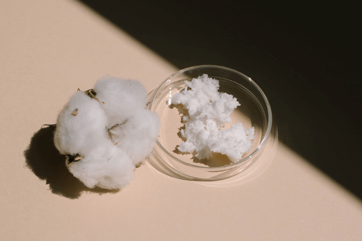 Baumwolle und Sheabutter in Petrischale